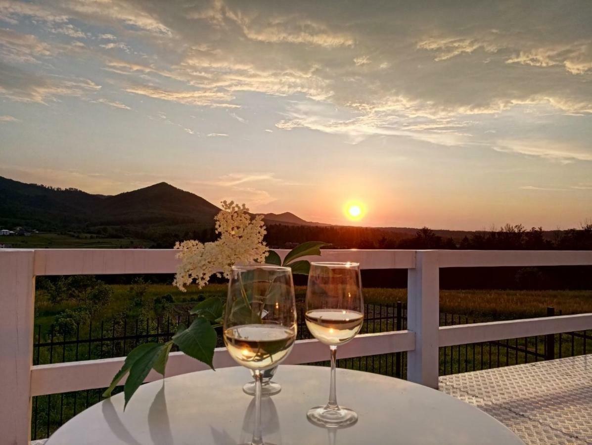 Cosy House Villa Berehomet ภายนอก รูปภาพ